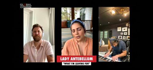 国际影星爆料事件视频在线观看,揭秘娱乐圈不为人知的秘密